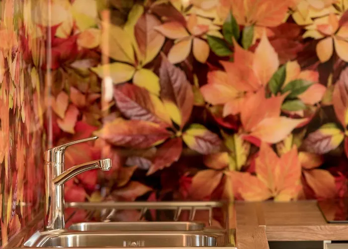 View Of Appartement *